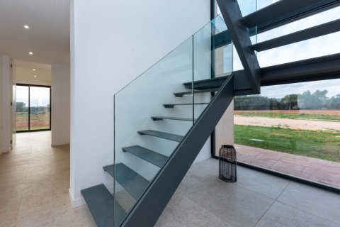 Finca myytävänä Campos, Mallorca, Espanja, 4 makuuhuonetta, 340 m2 No. 111895 - kuva 15