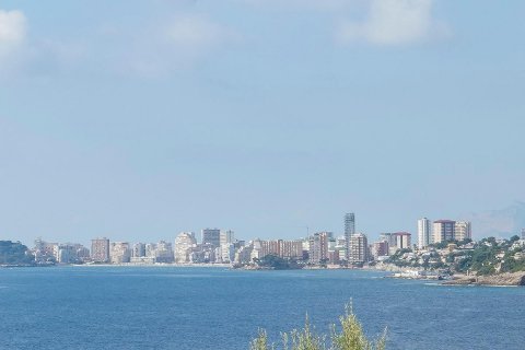Продажа виллы в Бенисса, Аликанте, Испания 4 спальни, 358м2 №82565 - фото 21