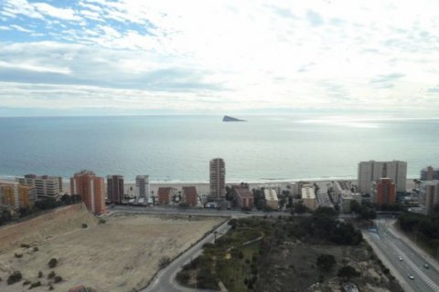 Продажа квартиры в Бенидорм, Аликанте, Испания 1 спальня, 65м2 №118938 - фото 2