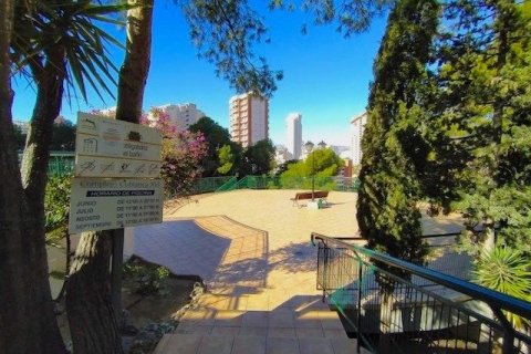 Продажа квартиры в Бенидорм, Аликанте, Испания 3 спальни, 95м2 №118939 - фото 18