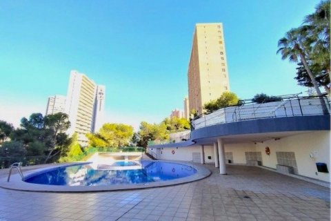 Продажа квартиры в Бенидорм, Аликанте, Испания 3 спальни, 95м2 №118939 - фото 24