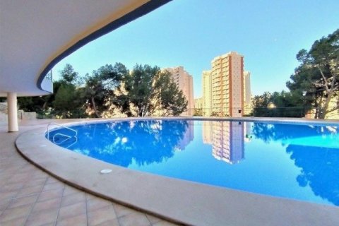 Продажа квартиры в Бенидорм, Аликанте, Испания 3 спальни, 95м2 №118939 - фото 26