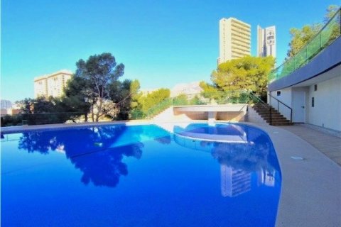 Продажа квартиры в Бенидорм, Аликанте, Испания 3 спальни, 95м2 №118939 - фото 22