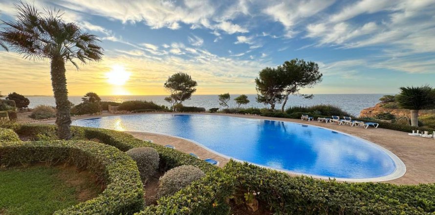Dzīvoklis Cala Pi, Mallorca, Spānijā 1 istaba, 67 m2 Nr. 112006