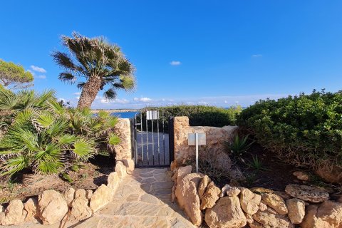 Dzīvoklis īrēšanai Cala Pi, Mallorca, Spānijā 1 istaba, 67 m2 Nr. 112006 - attēls 21