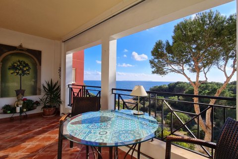 Dzīvoklis īrēšanai Cala Pi, Mallorca, Spānijā 1 istaba, 67 m2 Nr. 112006 - attēls 5