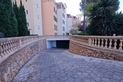 Dzīvoklis īrēšanai Cala Pi, Mallorca, Spānijā 1 istaba, 67 m2 Nr. 112006 - attēls 17