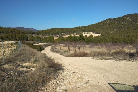 House for sale Bullas, Murcia, Spain 400 sq.m. No. 112936 - photo 5