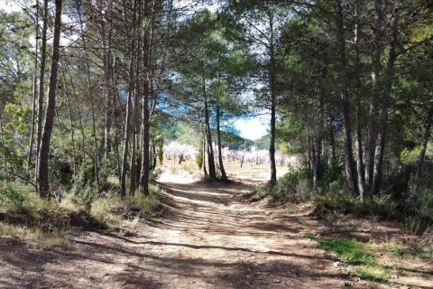 House for sale Bullas, Murcia, Spain 400 sq.m. No. 112936 - photo 9