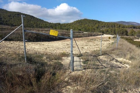 House for sale Bullas, Murcia, Spain 400 sq.m. No. 112936 - photo 8