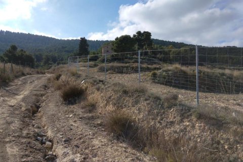 House for sale Bullas, Murcia, Spain 400 sq.m. No. 112936 - photo 7