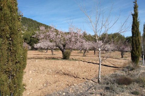 House for sale Bullas, Murcia, Spain 400 sq.m. No. 112936 - photo 2