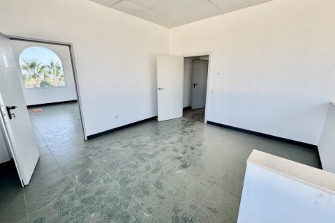 Commercial property for sale Algorfa, Alicante, Spain 245 sq.m. No. 112938 - photo 8