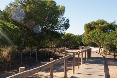 Villa in vendita Torrevieja, Alicante, Spagna 3 camere da letto, 142 mq. N° 112324 - foto 9