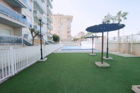 Penthäuser zum Verkauf Guardamar del Segura, Alicante, Spanien 2 Schlafzimmer, 96 m2 Nr. 113113 - Foto 25