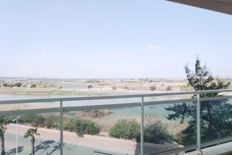 Penthäuser zum Verkauf Guardamar del Segura, Alicante, Spanien 2 Schlafzimmer, 96 m2 Nr. 113113 - Foto 17