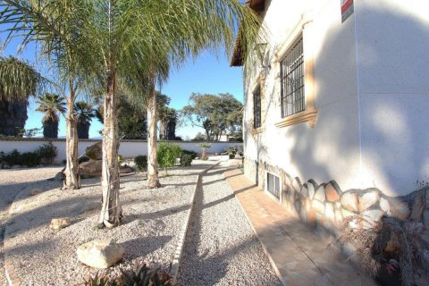 Villa for sale Catral, Alicante, Spain 7 bedrooms, 403 sq.m. No. 113114 - photo 27