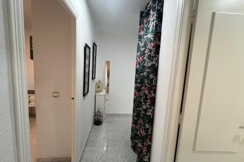 Villa pārdošanā Torrevieja, Alicante, Spānijā 4 istabas, 130 m2 Nr. 117786 - attēls 19