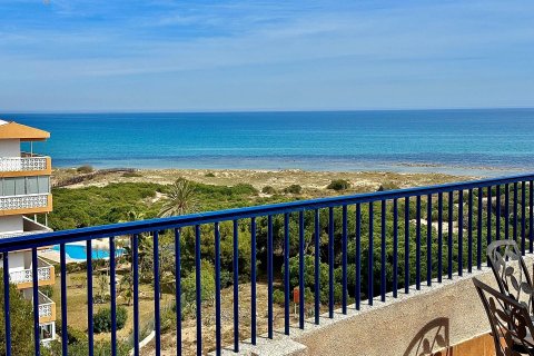 Penthauss pārdošanā La Mata, Alicante, Spānijā 3 istabas, 85 m2 Nr. 65828 - attēls 4