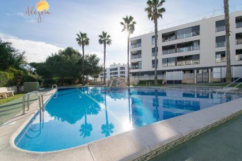 Penthauss pārdošanā La Mata, Alicante, Spānijā 3 istabas, 85 m2 Nr. 65828 - attēls 8