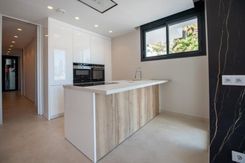 Apartamento en venta Benidorm, Alicante, España 3 dormitorios, 297 m2 No. 108992 - foto 28