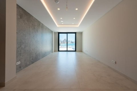 Apartamento en venta Benidorm, Alicante, España 3 dormitorios, 297 m2 No. 108992 - foto 21