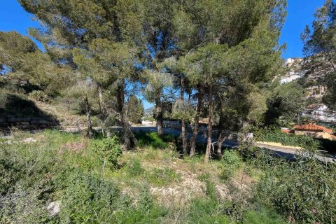 Willa w Pedreguer, Alicante, Hiszpania 3 sypialnie, 132 mkw. nr 113053 – zdjęcie 23