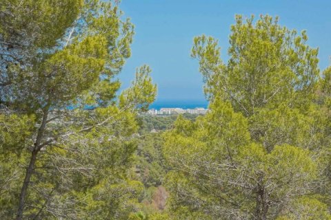 Zemes gabals pārdošanā Javea, Alicante, Spānijā Nr. 113056 - attēls 14