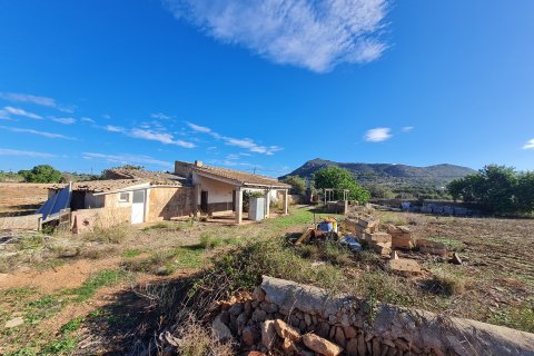 Land zum Verkauf Llucmajor, Mallorca, Spanien 28500 m2 Nr. 111876 - Foto 6