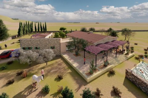 Land zum Verkauf Llucmajor, Mallorca, Spanien 28500 m2 Nr. 111876 - Foto 2