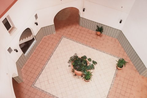 Dzīvoklis pārdošanā Torrevieja, Alicante, Spānijā 2 istabas, 65 m2 Nr. 117465 - attēls 20