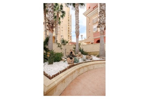 Dzīvoklis pārdošanā Torrevieja, Alicante, Spānijā 2 istabas, 65 m2 Nr. 117465 - attēls 21