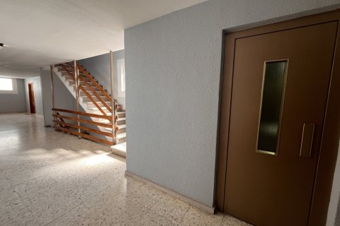 Продажа квартиры в Торревьеха, Аликанте, Испания 3 спальни, 101м2 №117467 - фото 25