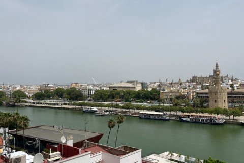 Apartment à vendre à Sevilla, Seville, Espagne, 6 chambres, 298 m2 No. 87786 - photo 5