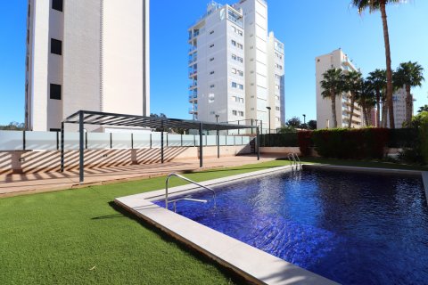 Wohnung zum Verkauf Guardamar del Segura, Alicante, Spanien 3 Schlafzimmer, 109 m2 Nr. 114924 - Foto 26