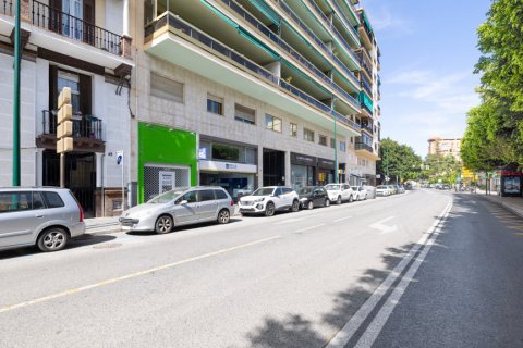 Apartment à vendre Malaga, Espagne, 4 chambres, 253 m2 No. 108170 - photo 5